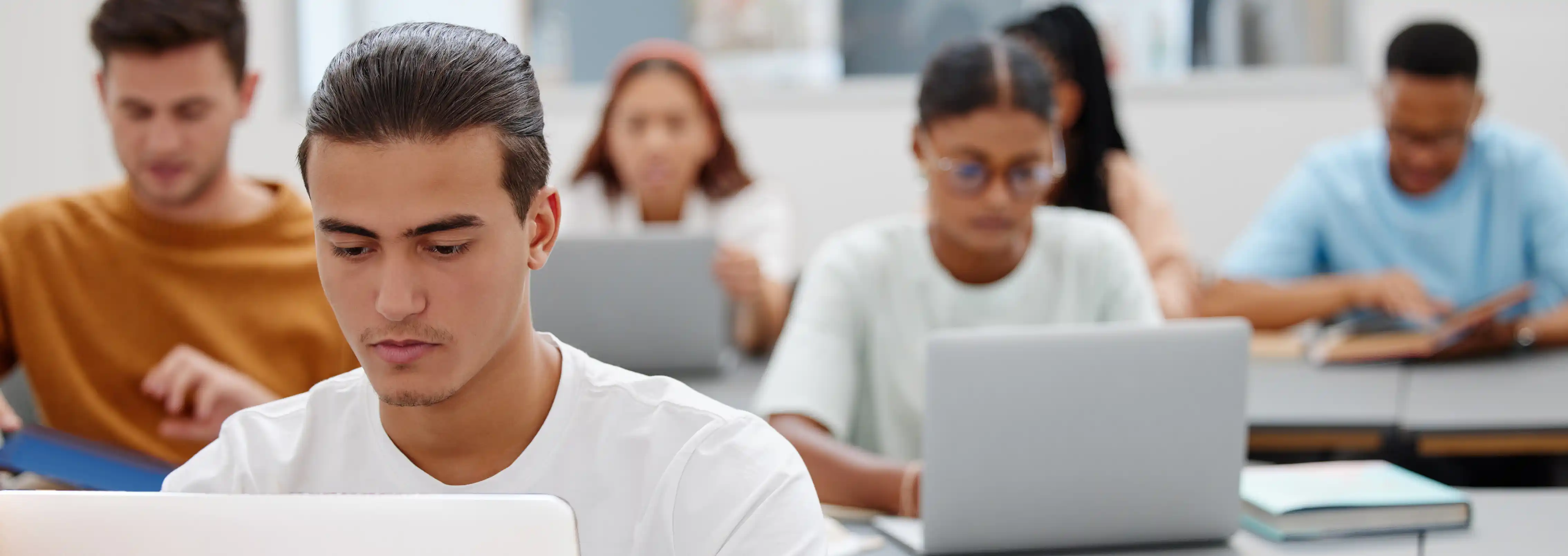 Focused students learning attentively from laptops